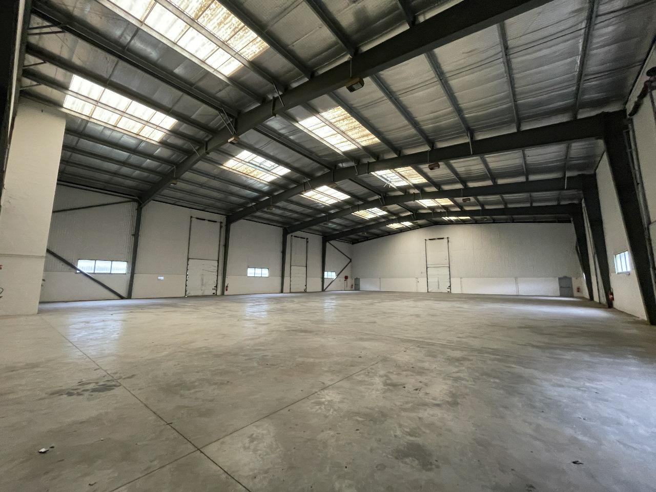 Local d'activité Mauguio 1620m² Location local d'activité Mauguio Hérault OLACT2313439 5